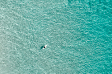 Aerial view of a surfer in the shallow water 