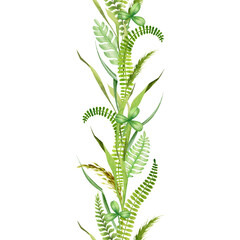 Green grass and leaves seamless border. Watercolor illustration. Hand drawn green lush grass, fern, leaves decoration element. White background