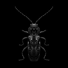 Old House Borer hand drawing vector isolated on black background.