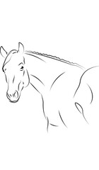 A caricature of a horse made by me  © Michel