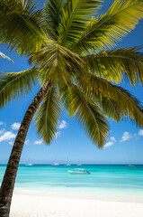 Naklejka na ściany i meble Tropical paradise, sand beach in caribbean Saona Island, Punta Cana, Dominican