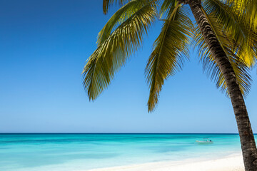 Naklejka premium Tropical paradise, sand beach in caribbean Saona Island, Punta Cana, Dominican