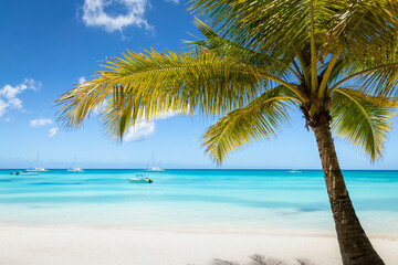 Obraz na płótnie Canvas Tropical paradise, sand beach in caribbean Saona Island, Punta Cana, Dominican