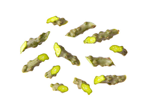 tinospora cordifolia or bora phet (thai name) with green leaves isolated on transparent png