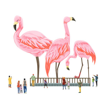 動物園のフラミンゴを見る人々の手描き水彩風イラスト