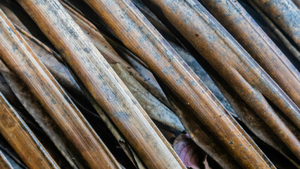 dry palm leaves texture as background