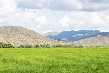Fototapeta premium landscape with mountains and clouds