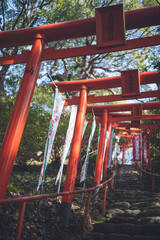福岡県の有名な観光地 太宰府天満宮の本殿裏天開稲荷神社 赤い鳥居