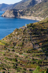Small touristic town on the coast and farmland, Manarola, Italy. Cinque Terre. Sunny Fall Season day.