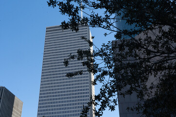 Houston buildings