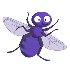 Funny blue-purple fly with big eyes and smile
