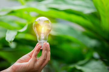 light bulb against nature, icons