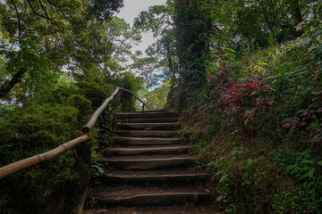 Stairway to heaven, El Boqueron Volcano, El Salvador, 2022