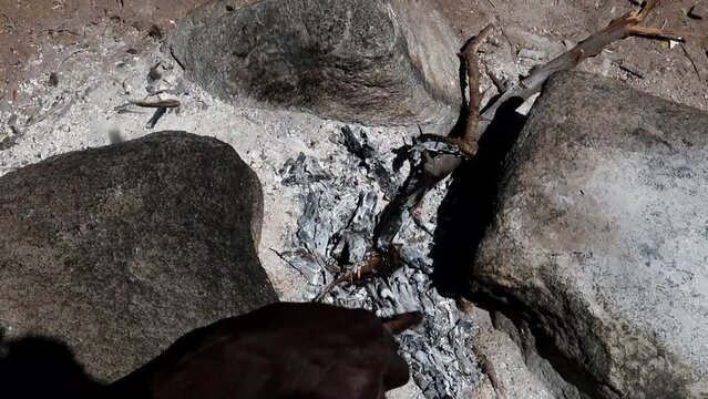 Close-up of Hadzabe tribe man hand cooking a hunted rat in small bonfire, day