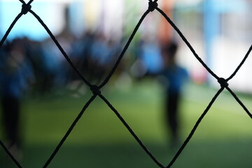 fence in spring