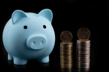 Kazakh coins in denominations of 50, 100 and 200 tenge and a blue piggy bank on a black background 