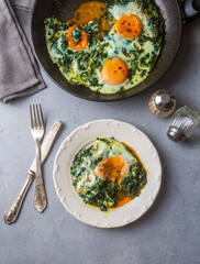 Turkish Food Spinach with Egg. Turkish name; ispanakli yumurta