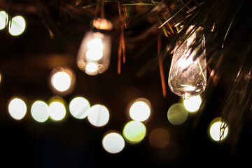 Holiday lights on a pine tree at the beach 