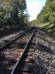 Obraz premium railway in the forest