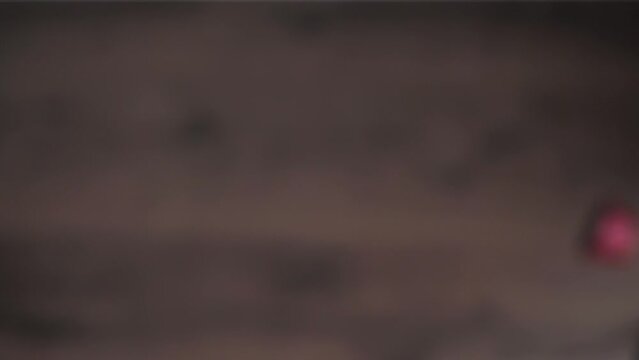 A Coffee pod capsule is being thrown up and falling down. Slow motion. Shallow focus shot.