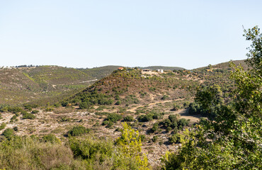 Fototapeta na wymiar The Carmel forest near Haifa city in northern Israel