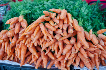 Bunch of fresh carrots for sale at market