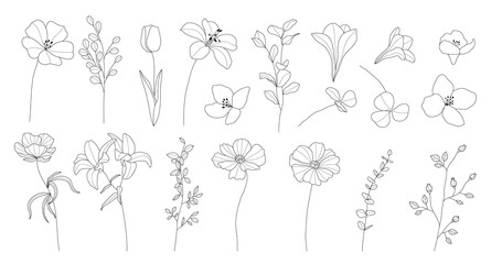 Botanical hand drawn line art vector set. Collection of contour drawing flowers, eucalyptus leaf branch, lily, floral leaves in minimal style. Design illustration for logo, wedding, invitation, decor - obrazy, fototapety, plakaty