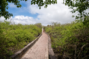 Sendero hacia la playa