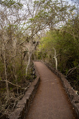Sendero hacia la playa