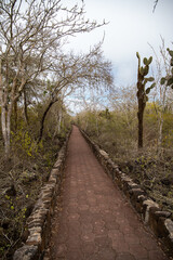 Sendero hacia la playa