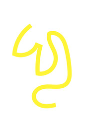 Colourful Squiggly Lines Design