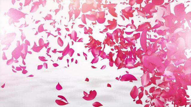 
Valentine day greeting. happy valentine's day. Pink Rose video. Pink Rose Petals happy valentine day background.