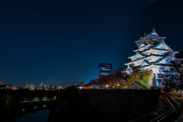 ライトアップで夜空に浮かび上がる大阪城