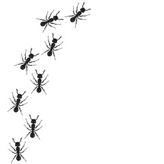 Vector insect ant. A design element for applications and websites. The concept of nature and small bugs.