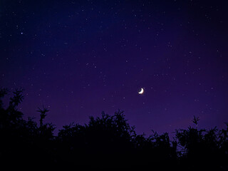 Fototapeta premium starry night sky