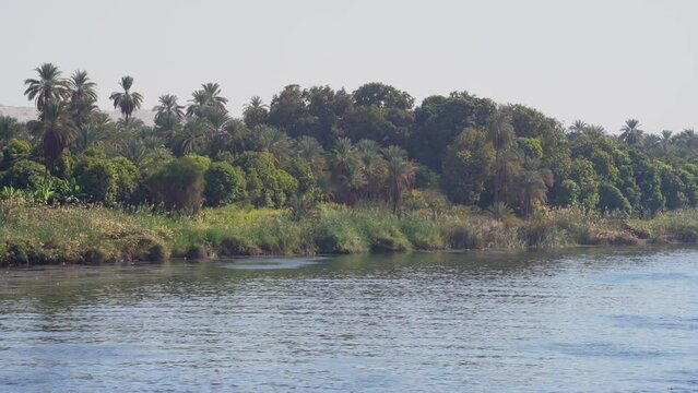 Wide Shot of Wild Farms and Greens along Nile River in Egypt