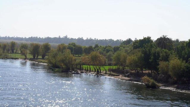 Lucious Green Farms along Nile River Banks in Upper Egypt