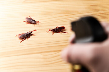 害虫を殺虫剤で退治するゴキブリの害虫イメージ