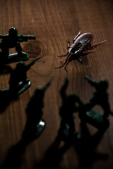 偽物のゴキブリを退治する玩具のミニチュア兵隊