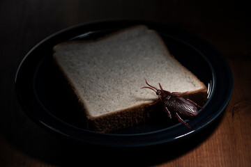 食べ残しのパンを餌にする偽物のゴキブリの害虫イメージ