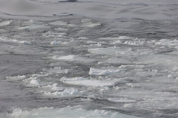 オホーツク流氷観光