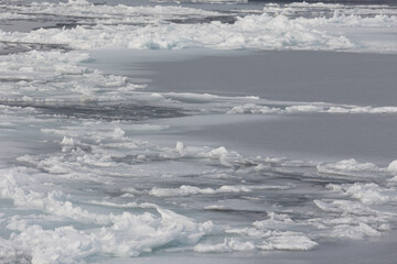 オホーツク流氷観光素材