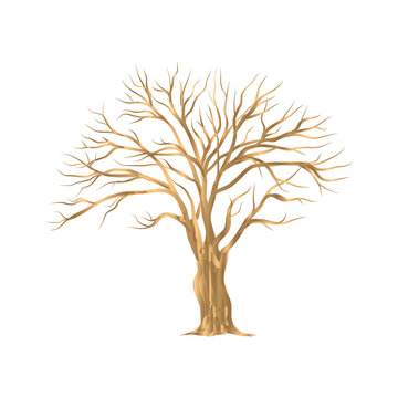 Vector drawing of a golden dry tree on a white background