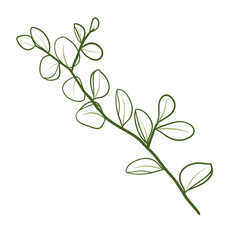 Green Doodle Leaf organic line art. Fern leaves.	
