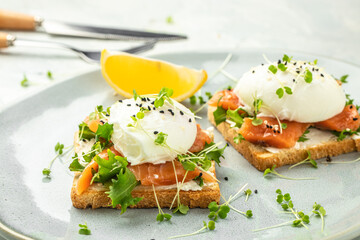 poached egg on toast salmon and guacamole on toast. place for text, top view