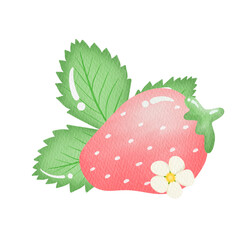 Watercolor pink strawberry.