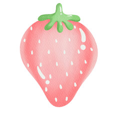 Watercolor pink strawberry.