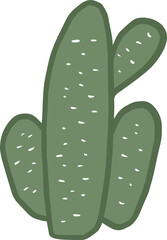 Cactus Plant Hand Drawn 