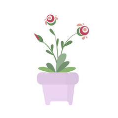 flowers in pots vector illustration