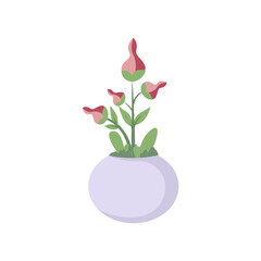 flowers in pots vector illustration